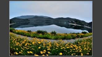 2022-06-07