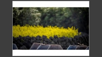 2022-06-10
