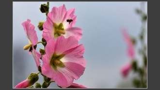 2022-06-11