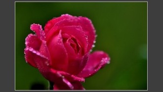 2022-06-12