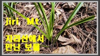 2022-06-12
