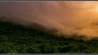 2022-06-13