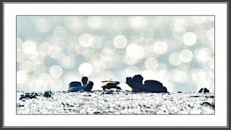2022-06-18