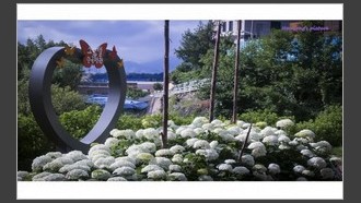 2022-06-22