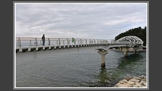 2022-06-22