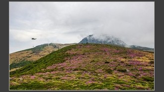 2022-06-23