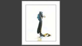 2022-06-24