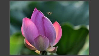 2022-06-28