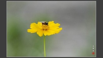 2022-06-28
