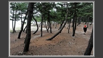 2022-07-09