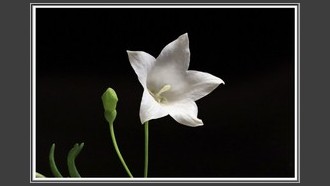 2022-07-10