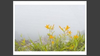 2022-07-13