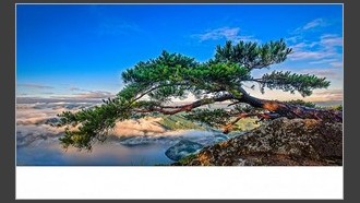 2022-07-14