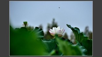 2022-07-16