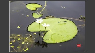 2022-07-24