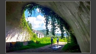2022-07-26