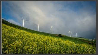 2022-07-26