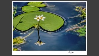 2022-07-28