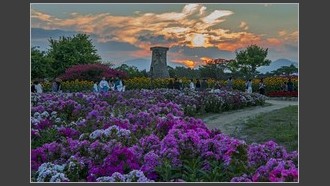 2022-07-30