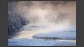 2022-07-31