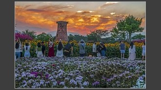 2022-08-01