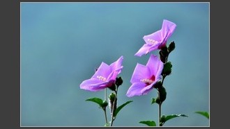 2022-08-02