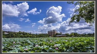 2022-08-03