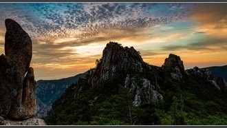 2022-08-08