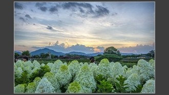 2022-08-09