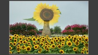 2022-08-10