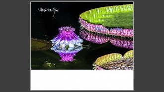 2022-08-31