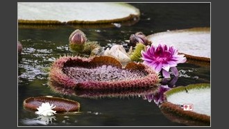 2022-09-02