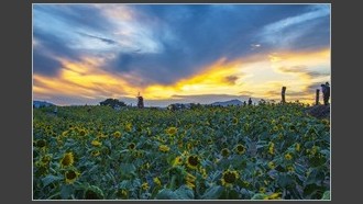 2022-09-05