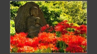 2022-09-06