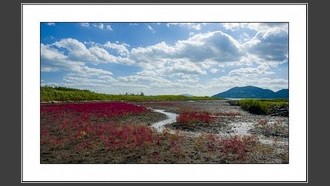 2022-09-08