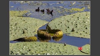 2022-09-09
