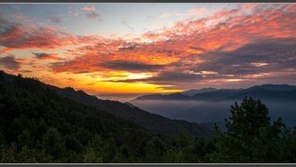 2022-09-11