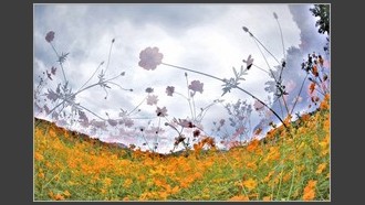 2022-09-19