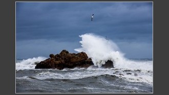2022-09-19