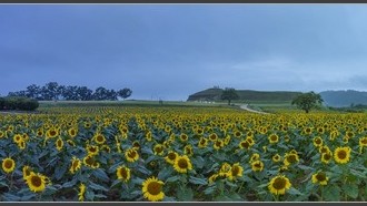 2022-09-20