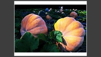 2022-09-24