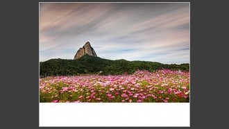 2022-09-26