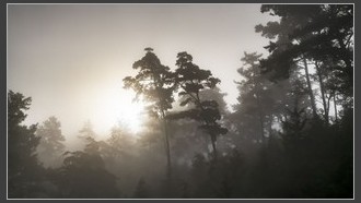 2022-10-01
