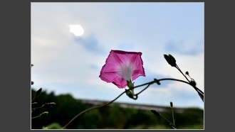 2022-10-07