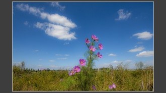 2022-10-07