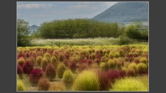 2022-10-09