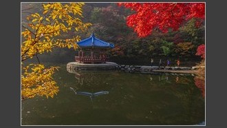 2022-11-01