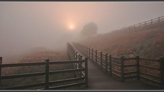 2022-11-02