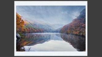 2022-11-03