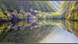 2022-11-06